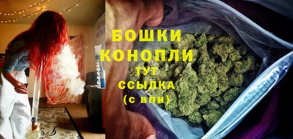 сатива Осташков