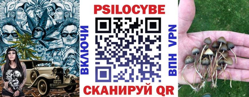 Галлюциногенные грибы MAGIC MUSHROOMS  omg ONION  Высоцк 